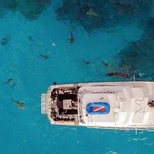 Liveaboard in the Bahamas