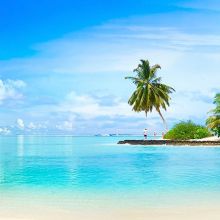 Beach in the Caribbean