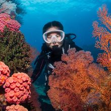 Coral reef and diver