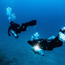 Divers in the Red Sea