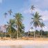 Basecamp Mafia Island Eco Resort