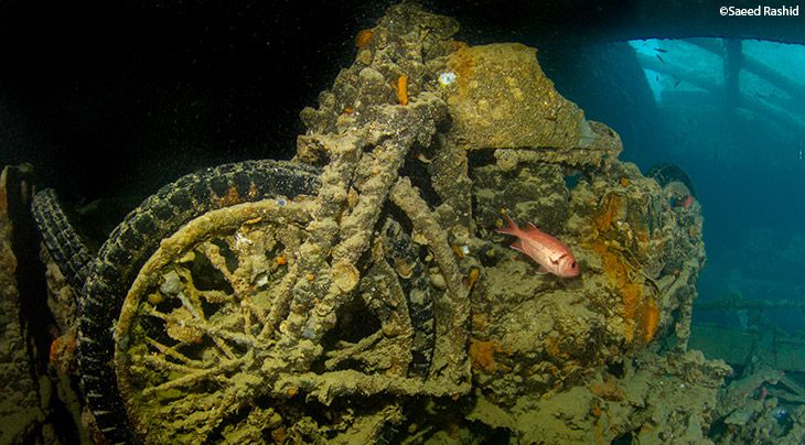 Diving In Sharm El Sheikh Diving Holidays Regaldive The Diving Holiday Specialist