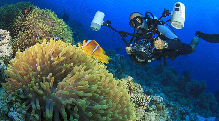 Mand filosofisk stål Diving in Sharm El Sheikh | Diving Holidays | Regaldive - The Diving  Holiday Specialist