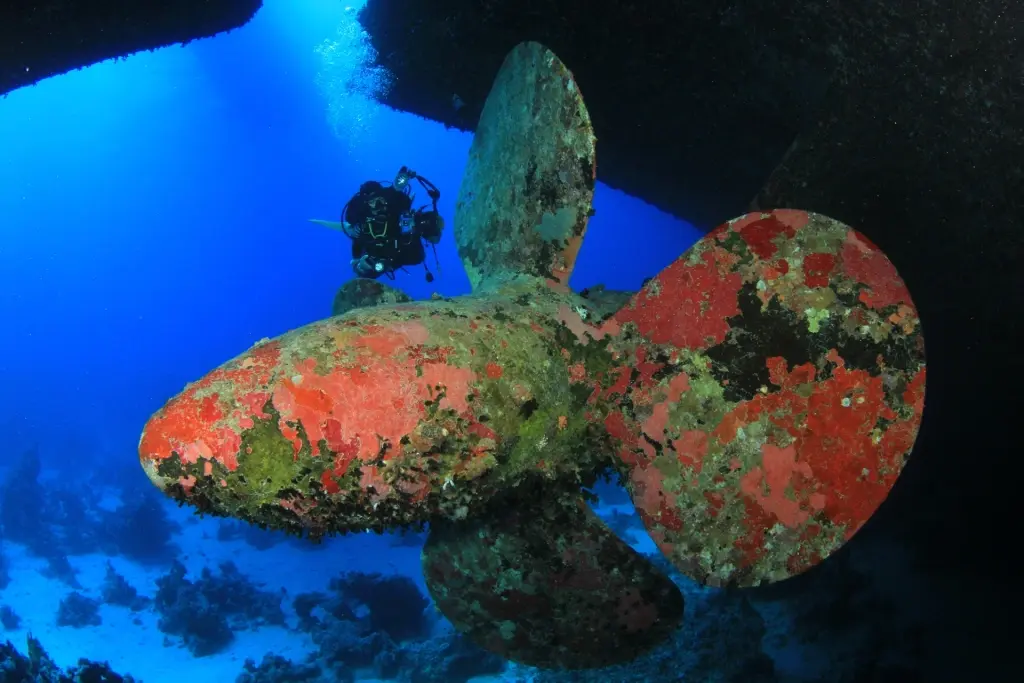 Propeller of the Salem Express wreck in Safaga, Egypt