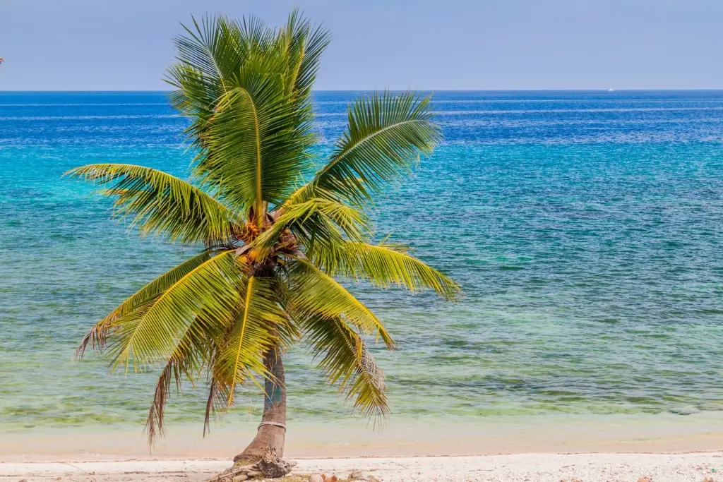 Beach in Bohol, the Philippines