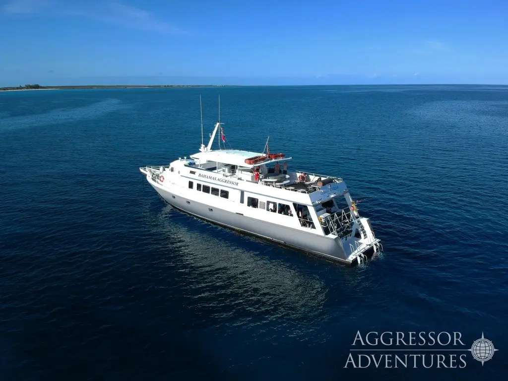Bahamas Master liveaboard