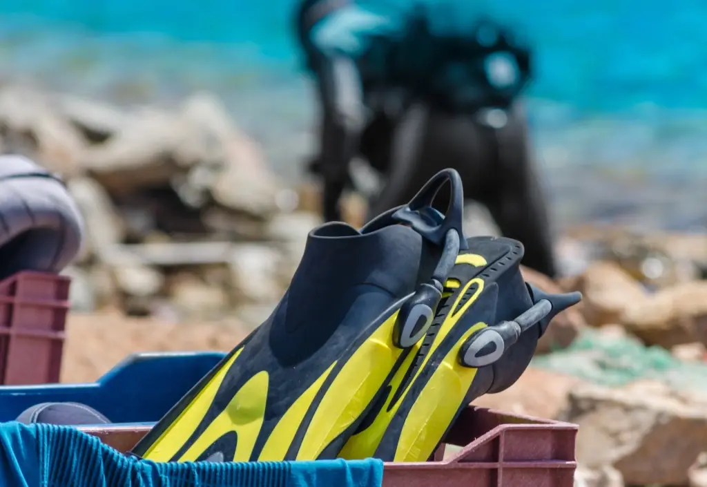 Diving fins on the beach
