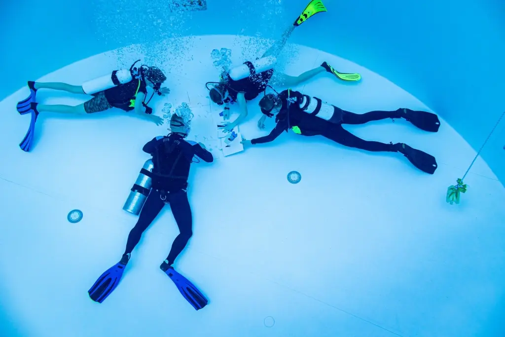 Group of people learning how to dive in a swimming pool