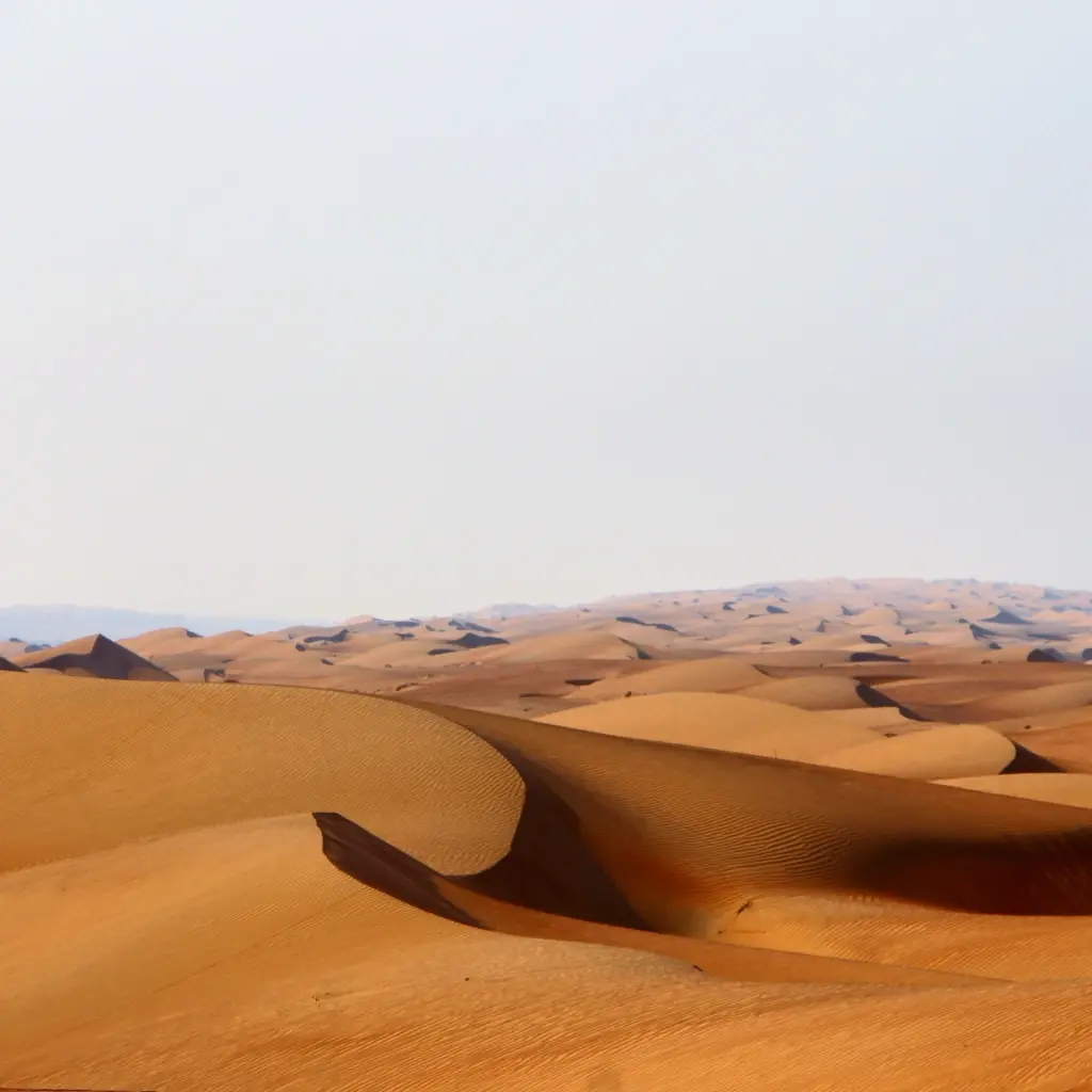 Desert scenery in Oman