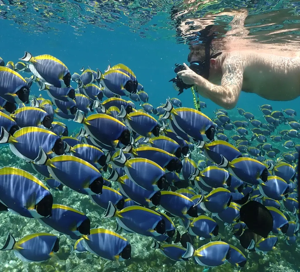 Snorkeller & photographer in Eri Maldives