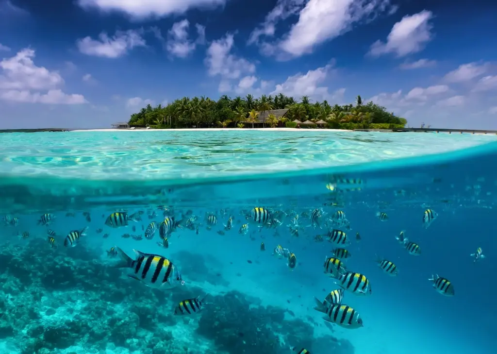Coral reef & island in the Maldives