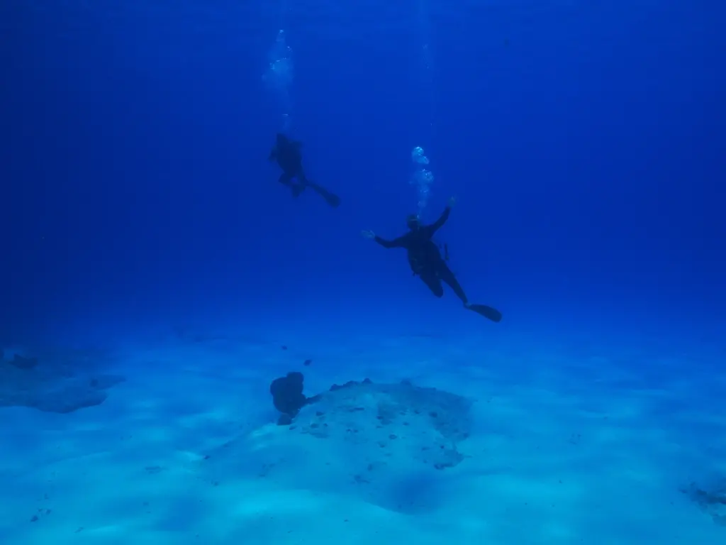 Divers in Riviera Maya, Mexico