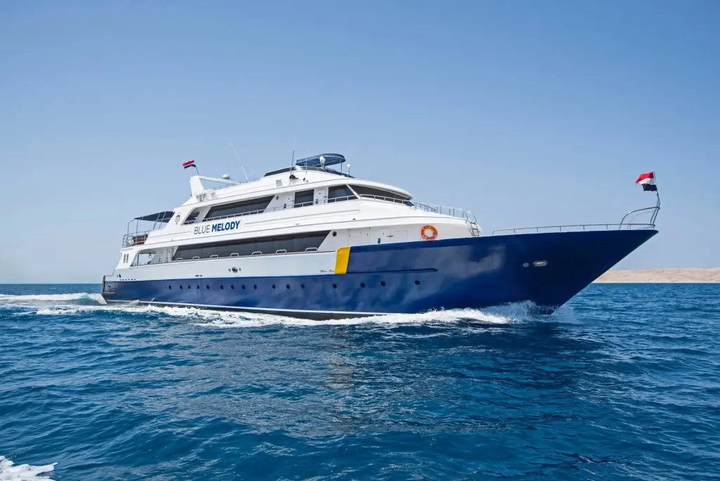 Blue Melody liveaboard in the Red Sea