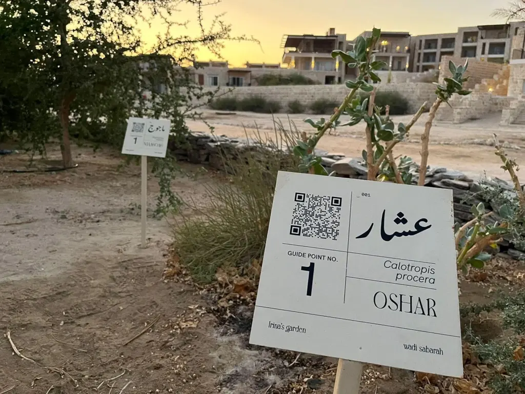 Botanical gardens at Wadi Sabarah Lodge in Marsa Alam, Egypt