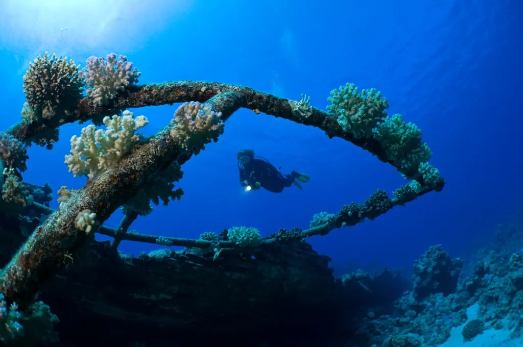 Thistlegorm wreck in Egypt