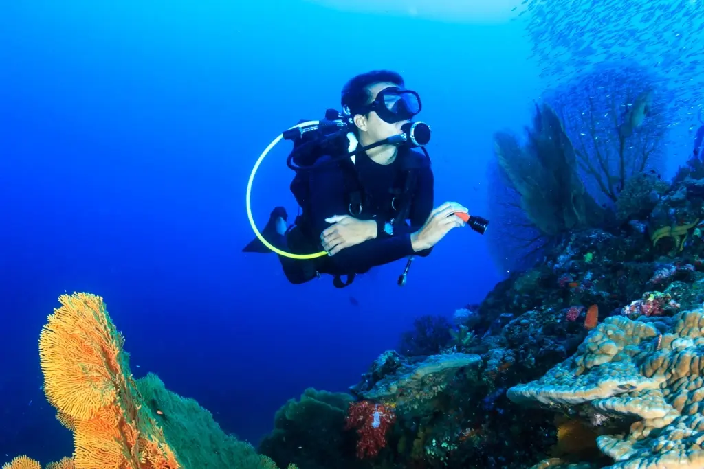Diver exploring a coral reef