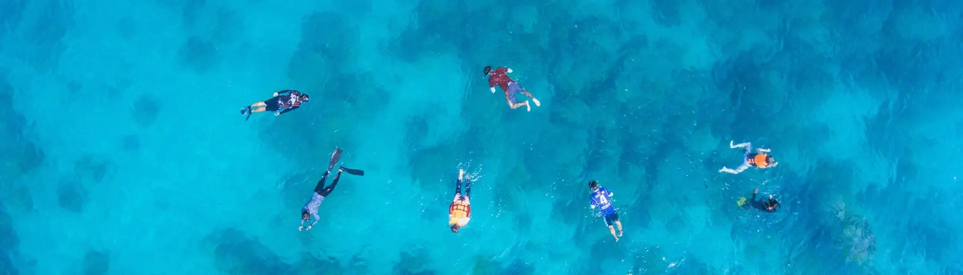Group of people snorkelling over coral reefs on holiday