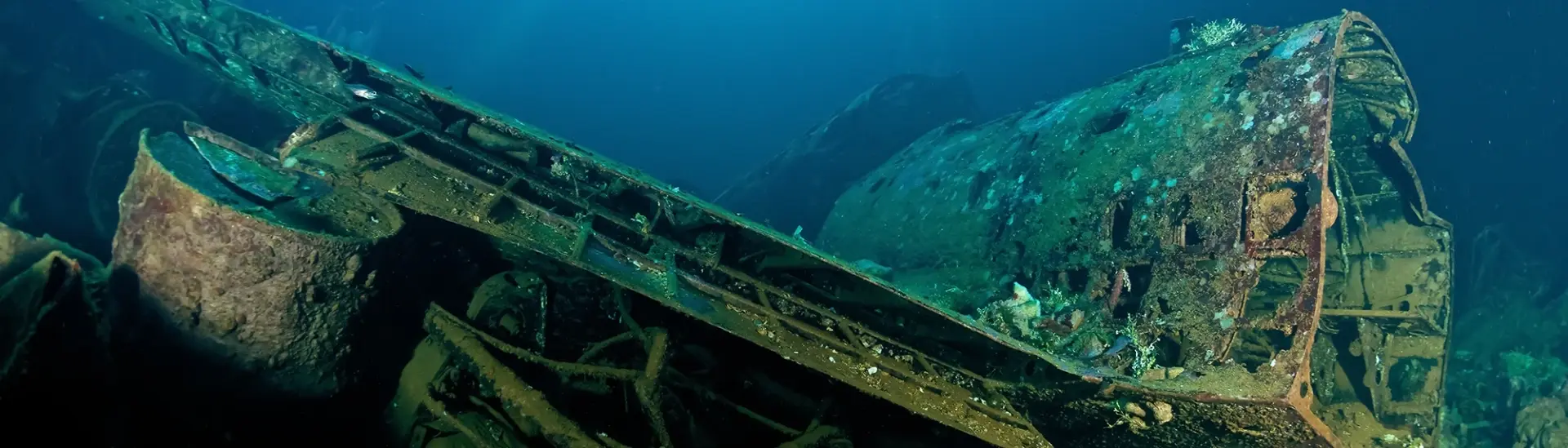 Japanese plane wreck in Truk Lagoon, Micronesia