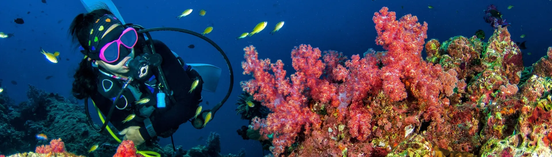 Diver & soft coral in Asia