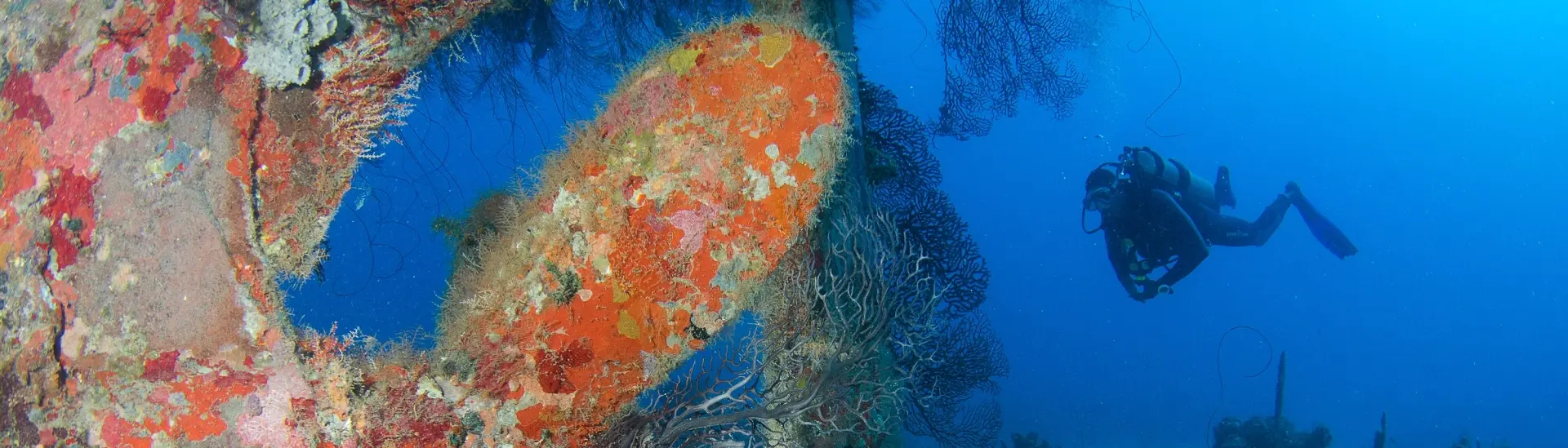 Shipwreck & diver in Grenada, the Caribbean