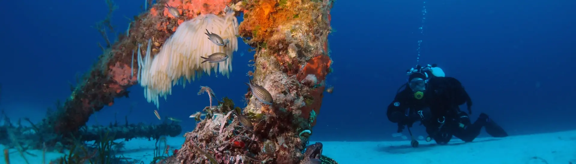 Diver by an anchor wreck in Malta