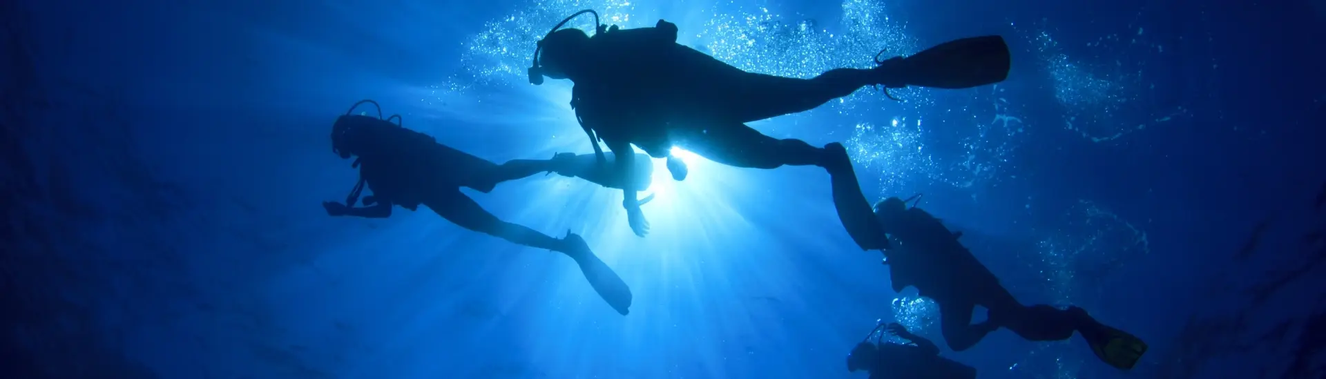 Group of scuba divers underwater