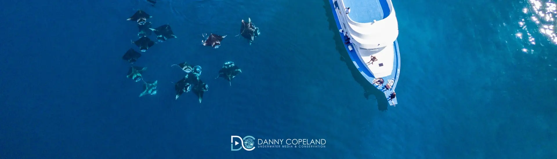 Aerial of the manta ray aggregation at Hanifaru Bay, the Maldives