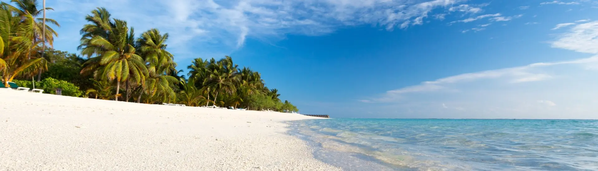 Beach & plam trees on Meeru island in the Maldives