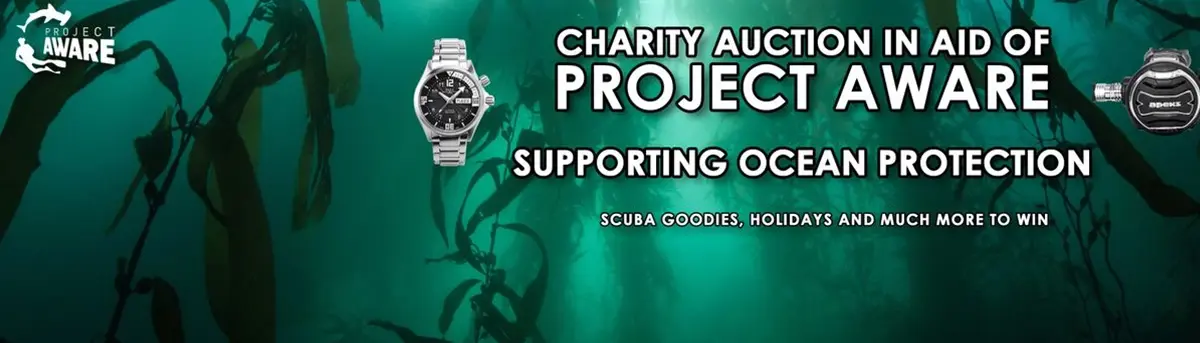 Poster to promote a charity auction with PROJECT AWARE