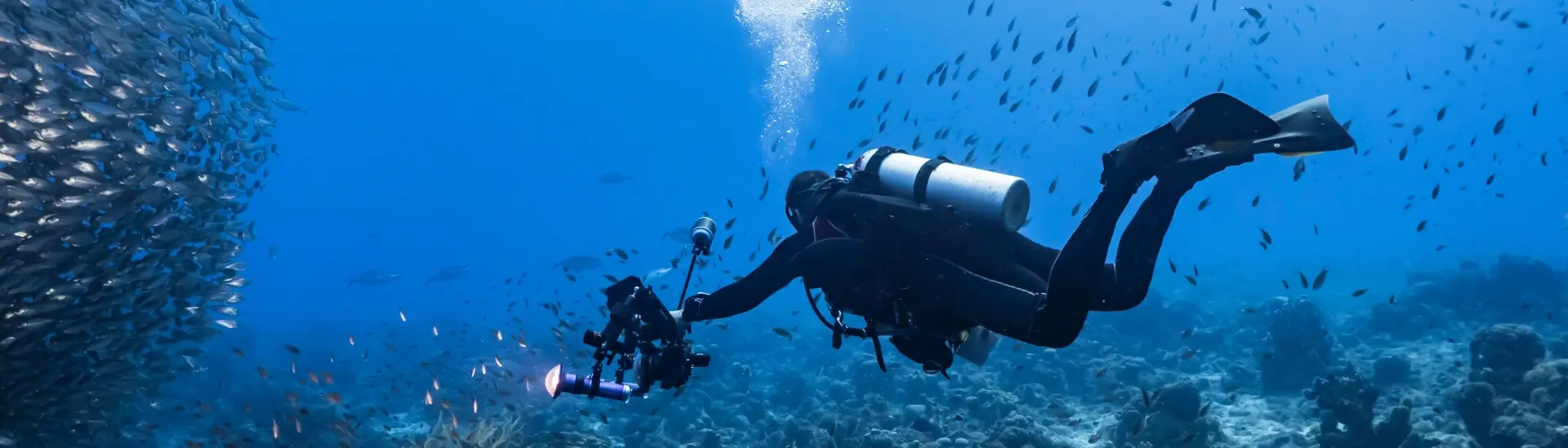 Underwater photographer with their camera