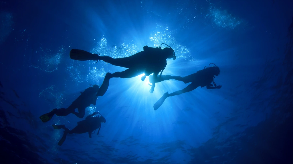Divers under the water in Thailand