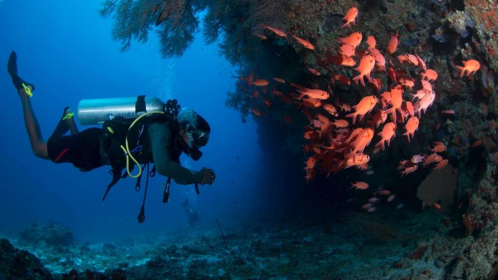 Diver at Okkobe Thila in North Male Atoll, the Maldives