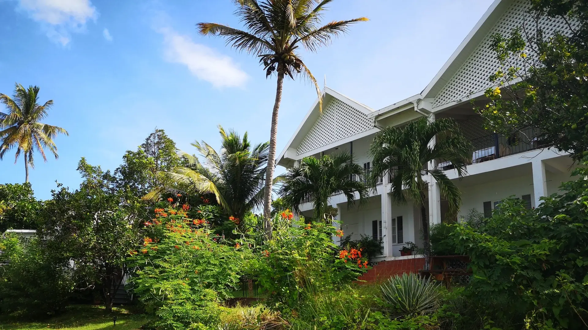 {card_image}{description}{/card_image}