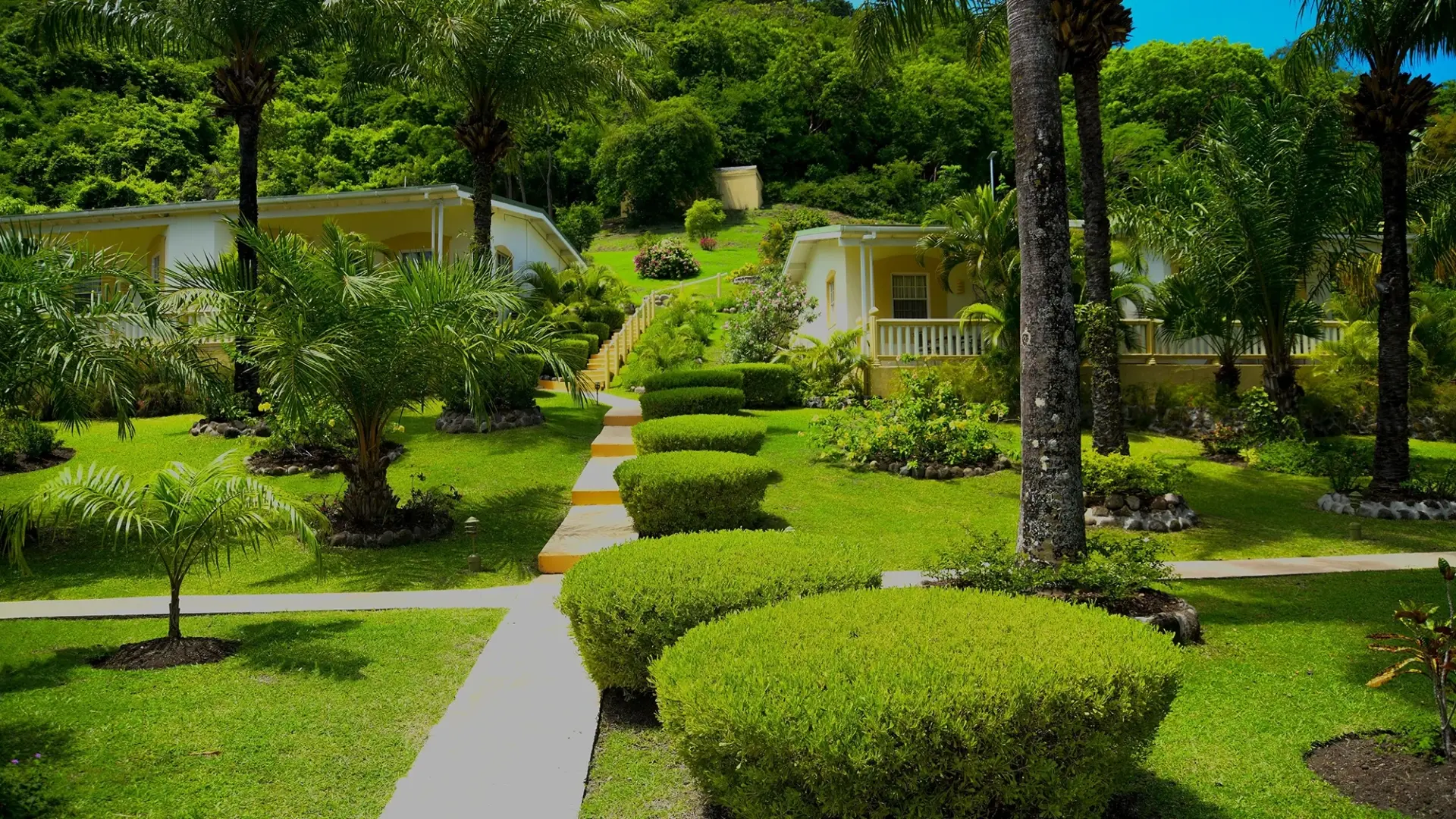 {card_image}{description}{/card_image}