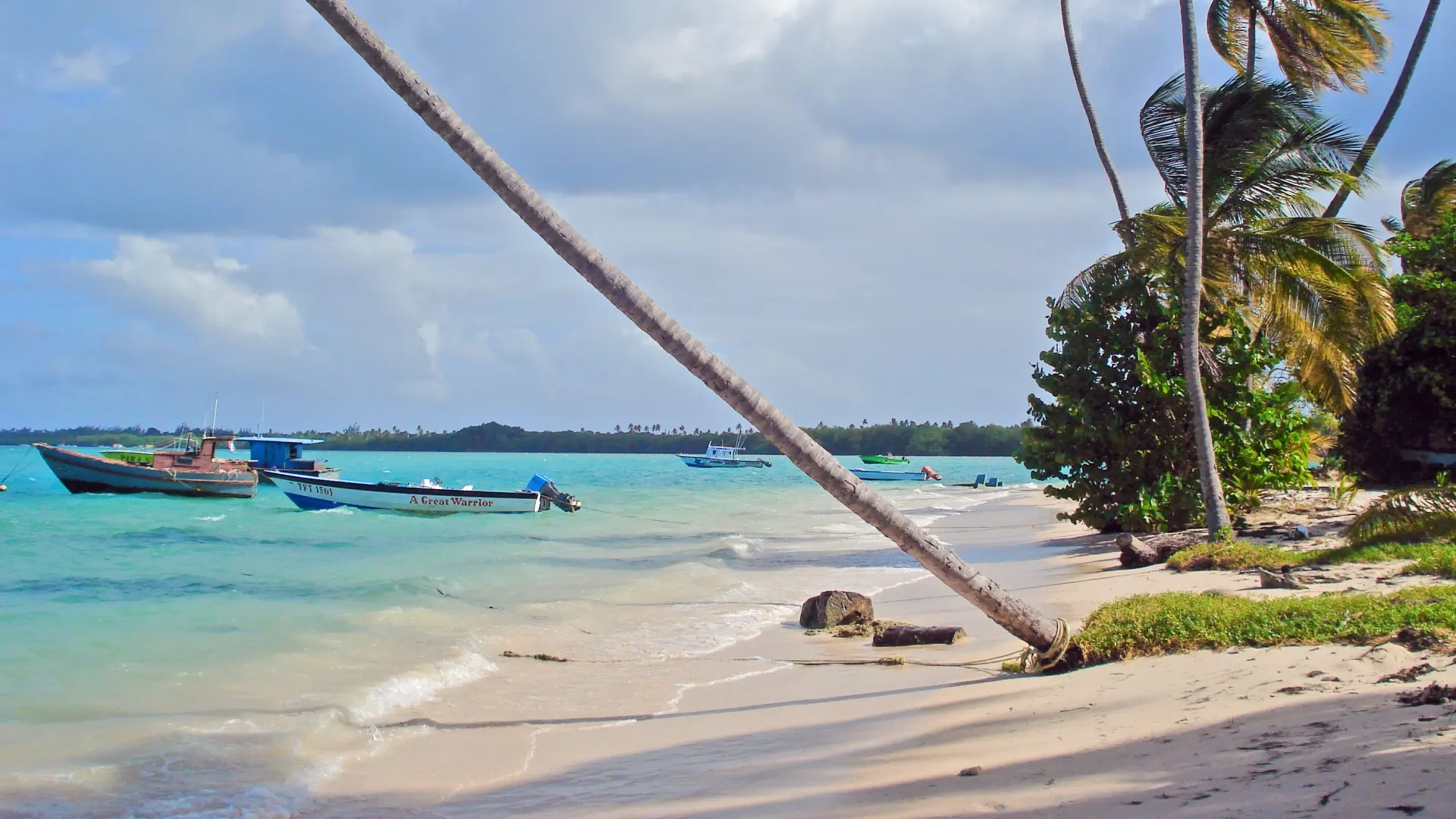 {card_image}{description}{/card_image}