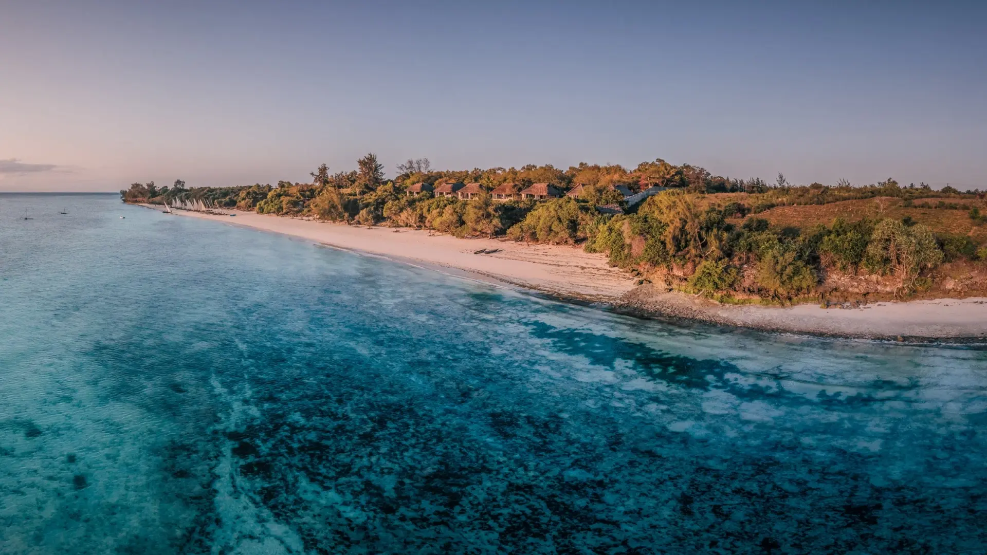 {card_image}{description}{/card_image}