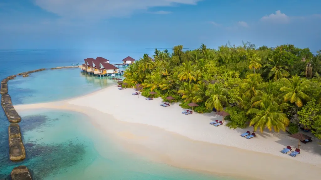 {card_image}{description}{/card_image}