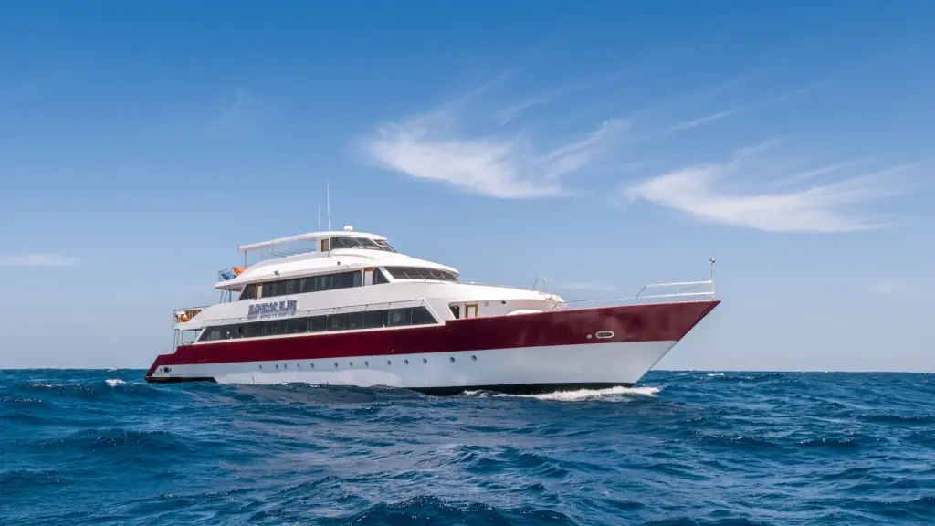 {card_image}{description}{/card_image}