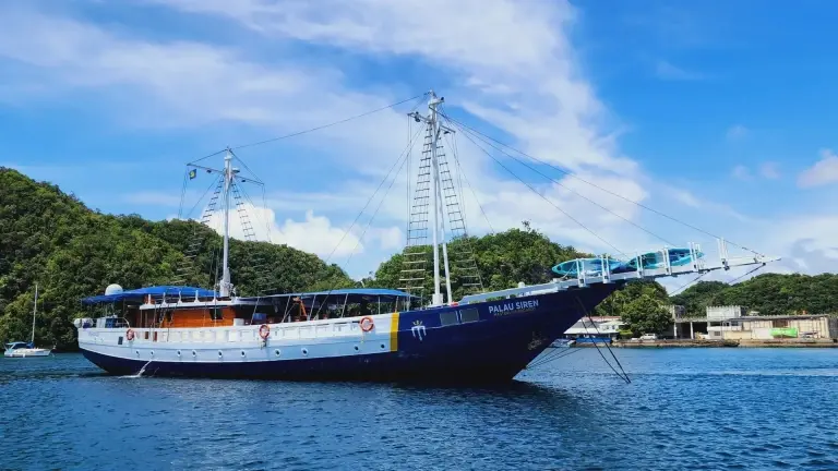Palau Siren liveaboard in Micronesia
