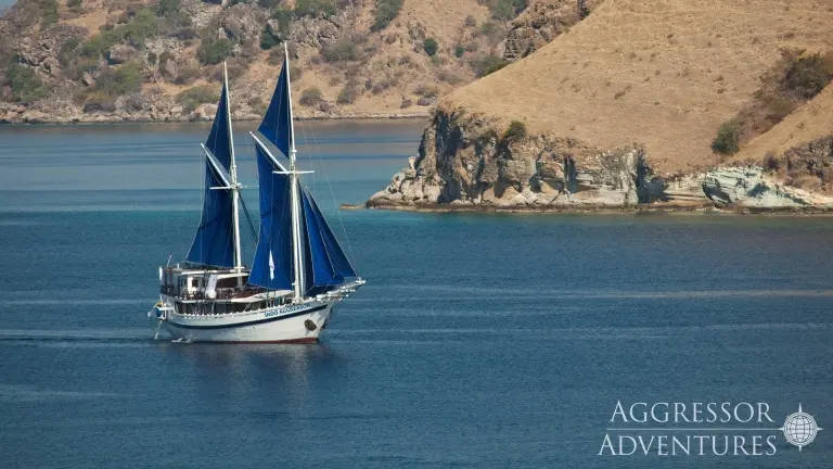 Indo Aggressor liveaboard in Indonesia