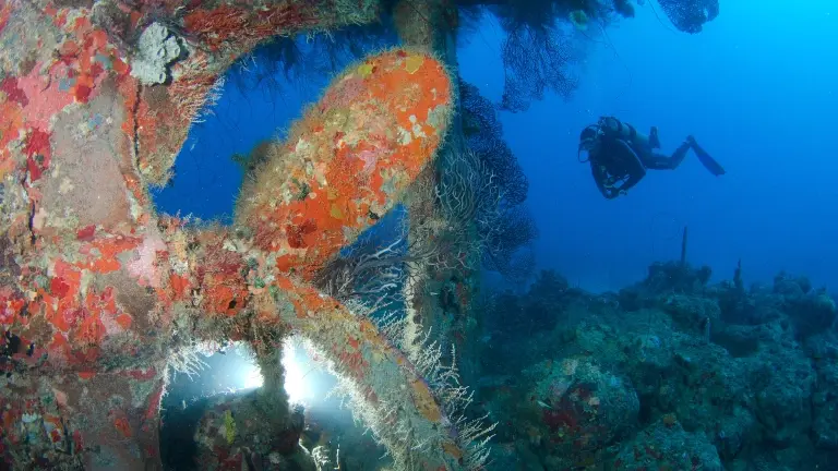 Shipwreck & diver in Grenada, the Caribbean