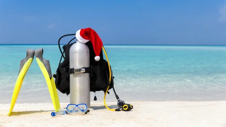 Dive tank, fins & a Christmas hat against a tropical background
