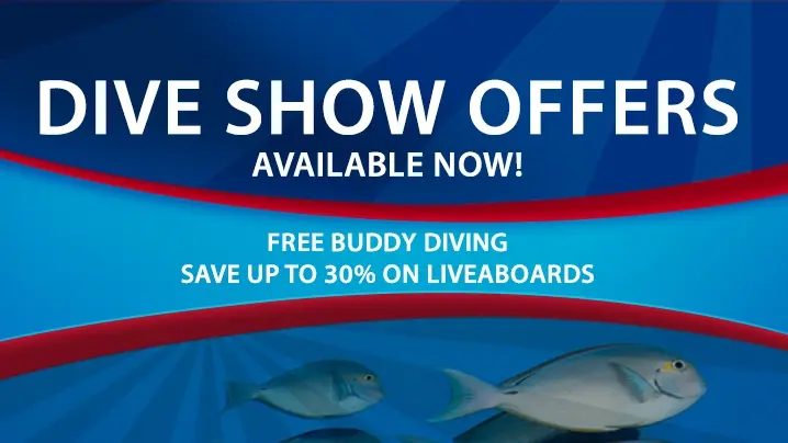A poster promoting dive show offers