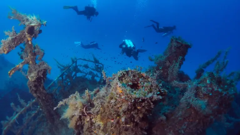 Divers exploring a shipwreck in Gozo