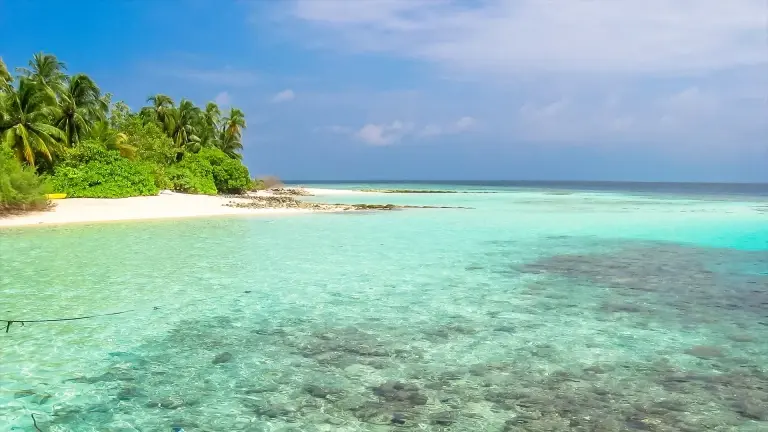 House reef in the Maldives