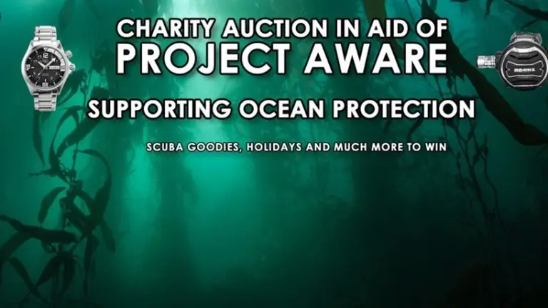 Poster to promote a charity auction with PROJECT AWARE