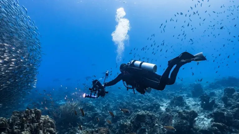 Underwater photographer with their camera
