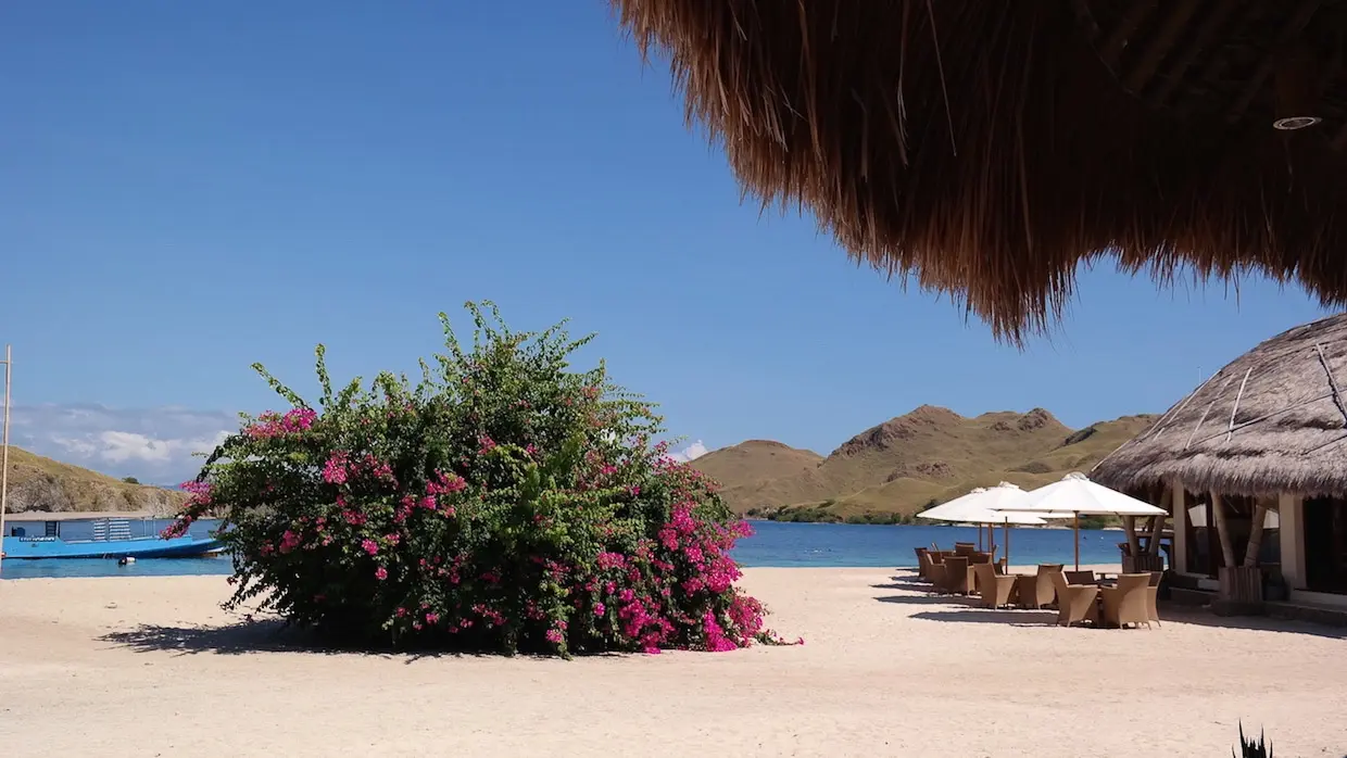 Beach bar at Komodo Resort in Komodo National Park, Indonesia