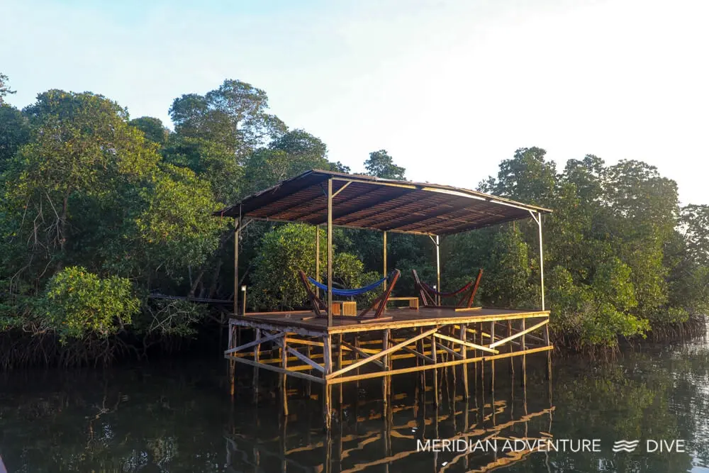 Mangrove hammock lookout at Meridian Adventure Dive Resort in Indonesia