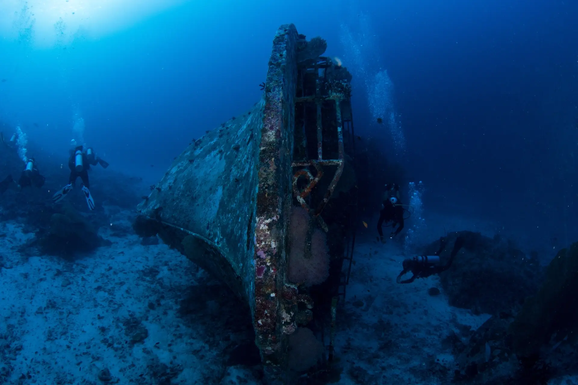 Tuna & shipwreck in the Similan Islands, Thailand